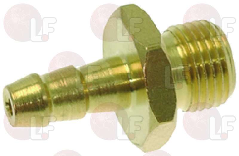 8005783-RACCORDO ø 1/8M PORTAGOMMA ø 6 mm